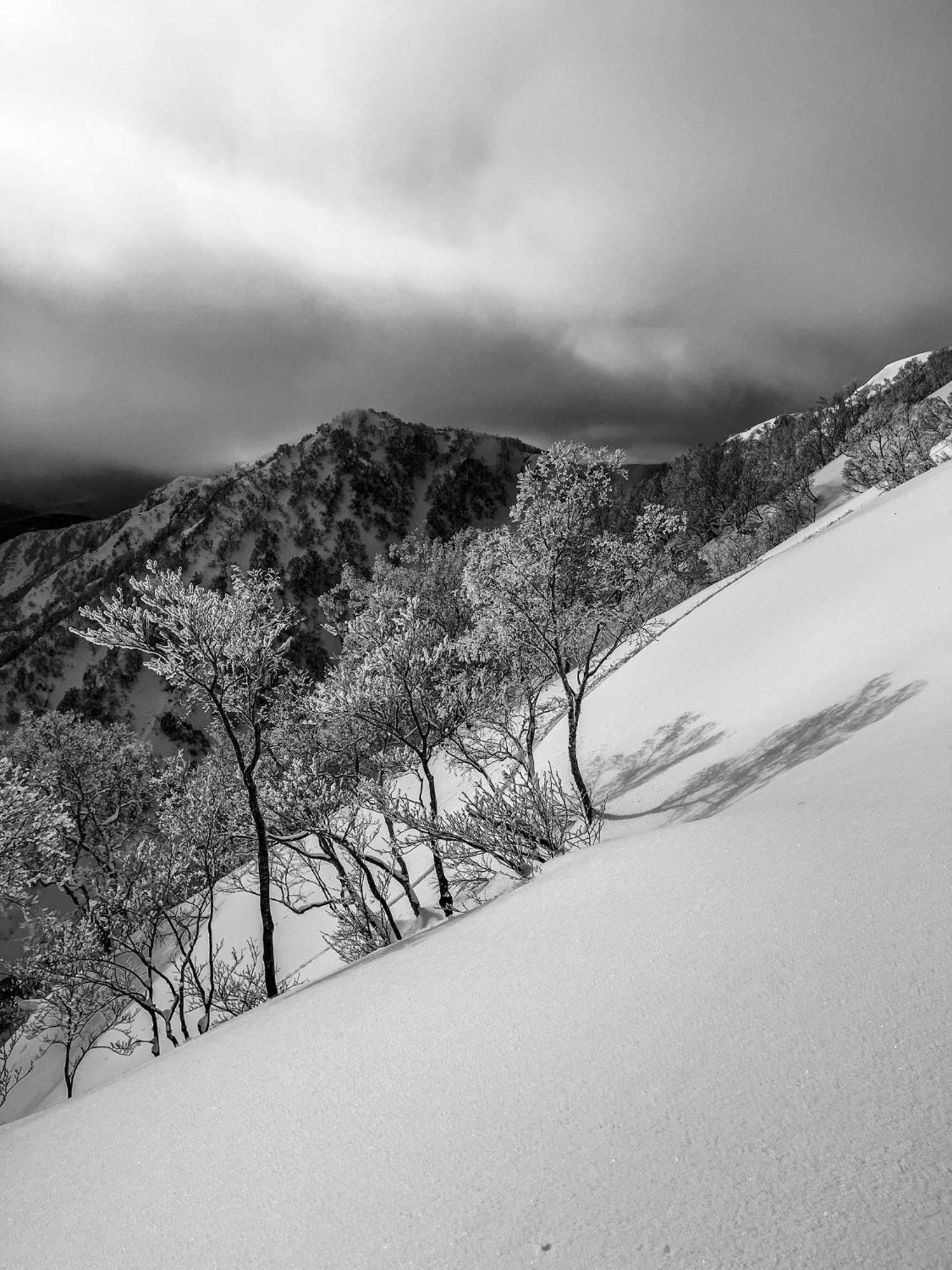 The Bohemians' Shelter Pansiyon Hakuba Dış mekan fotoğraf